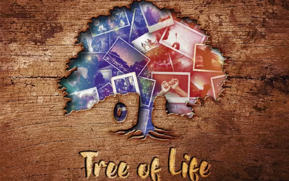 Celebrity Cruises, Tree of Life, Copyrights - CEL.jpeg